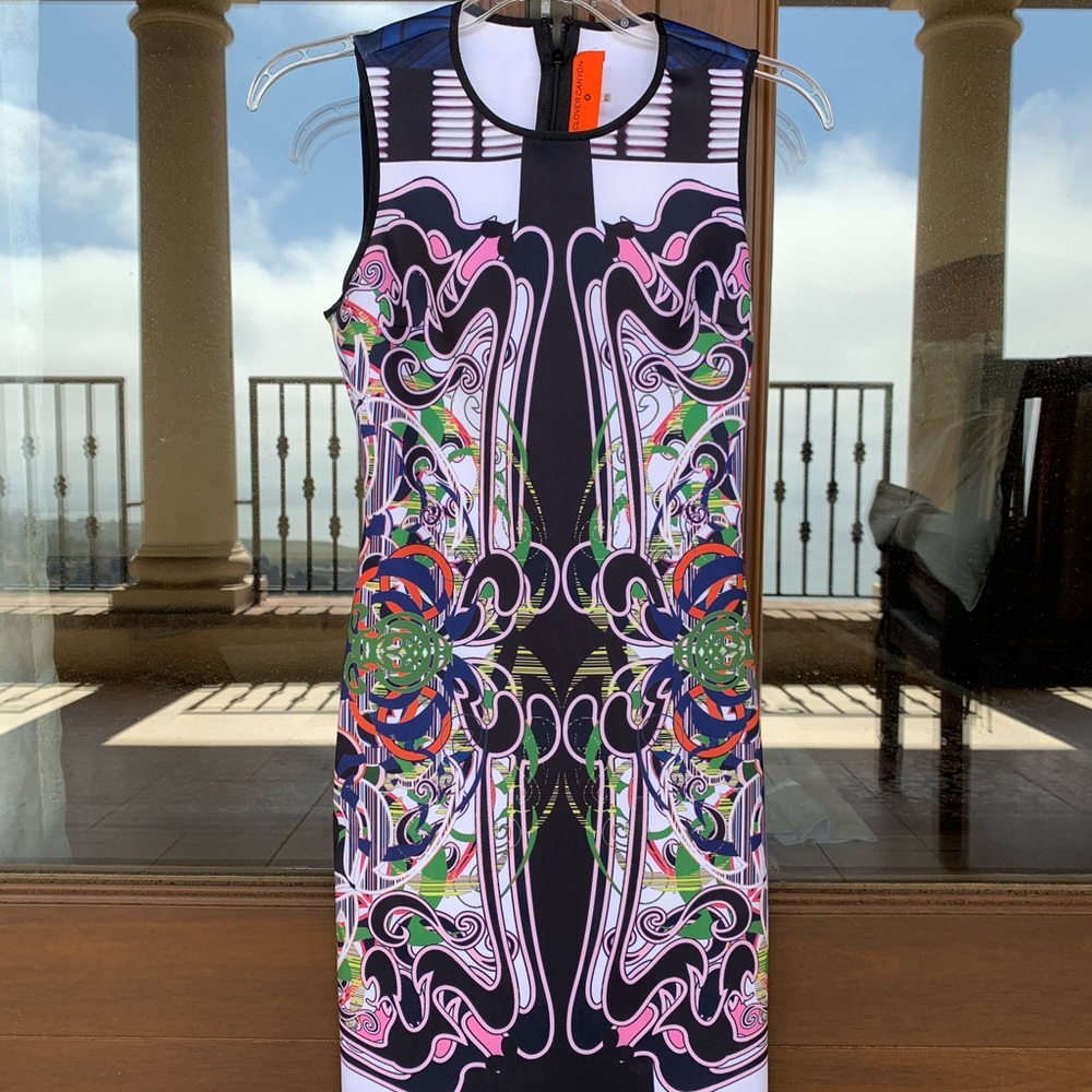 Clover Canyon dress